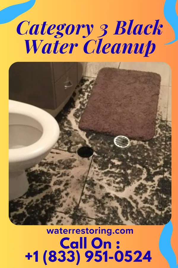 Category 3 Black Water Cleanup in North Adams, MI