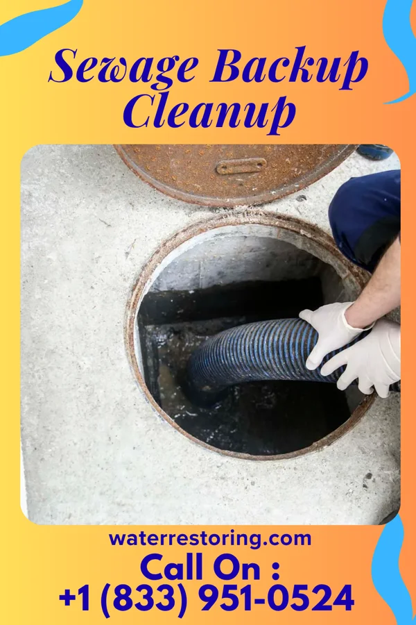 Sewage Backup Cleanup in North Adams, MI
