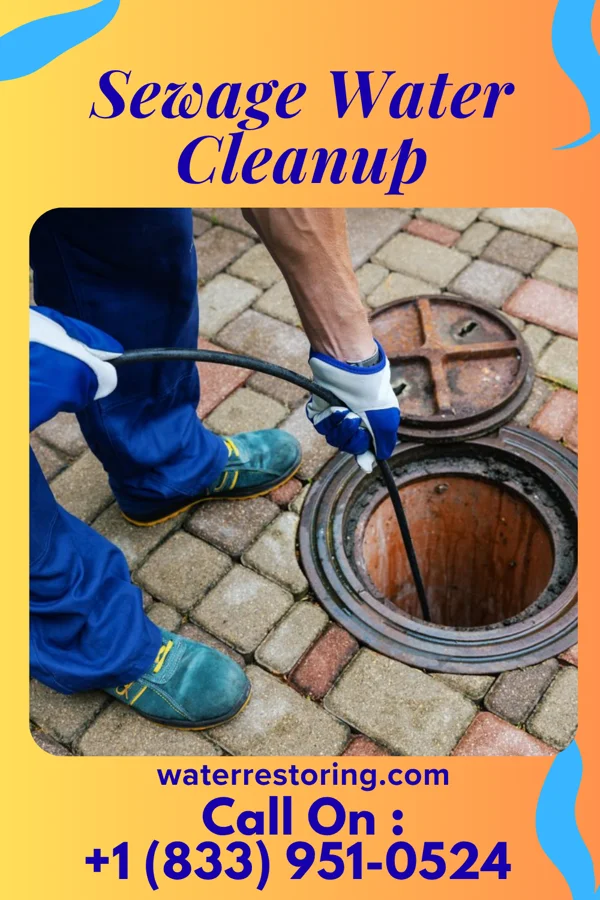 Sewage Water Cleanup in North Adams, MI