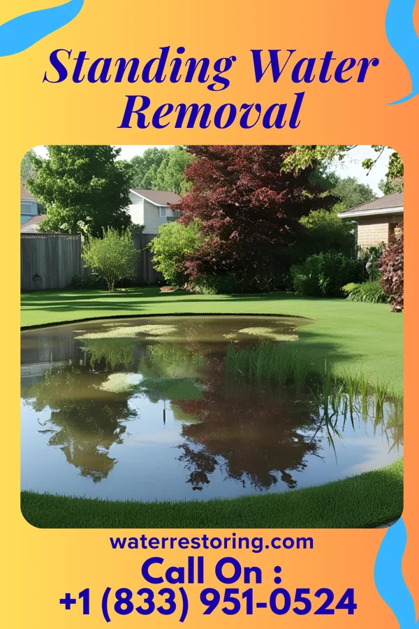 Standing Water Removal in North Adams, MI